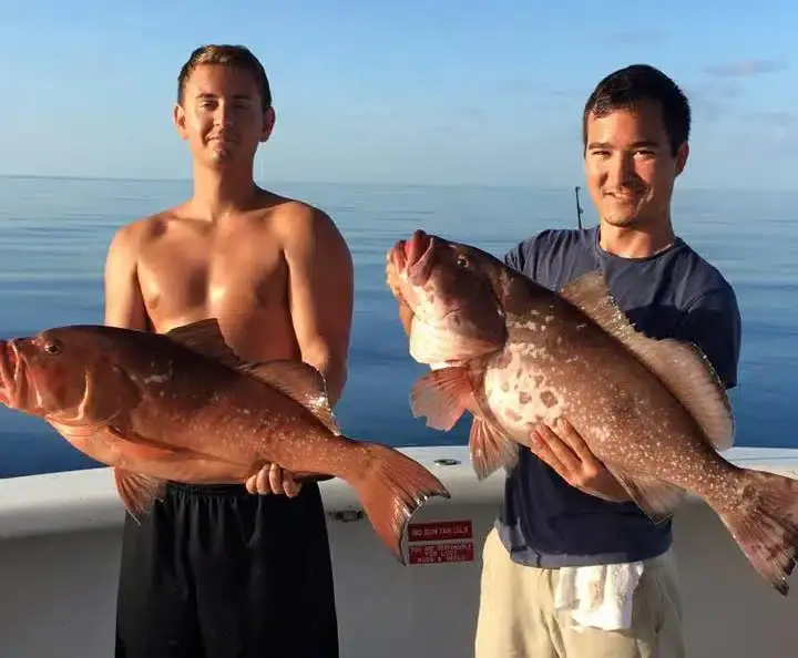 A Beginner's Guide to Red Snapper Fishing in the Gulf of Mexico