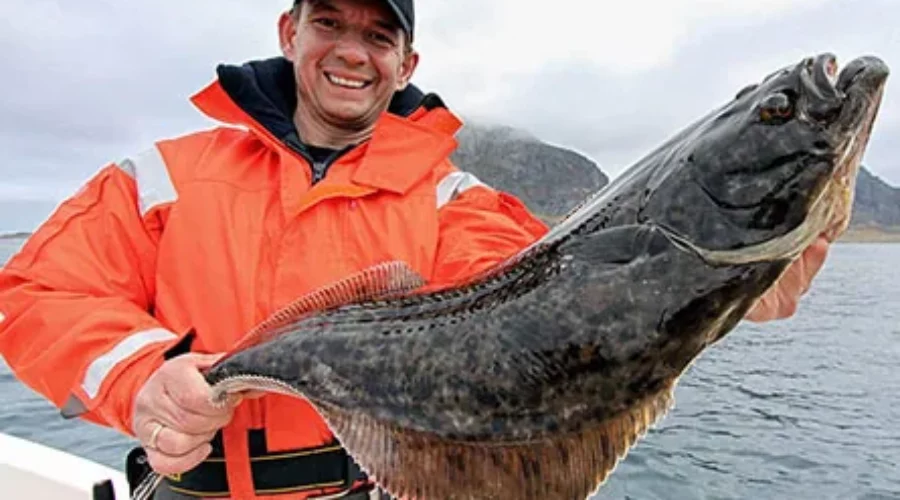 Alaska Halibut Fishing: An Unforgettable Experience