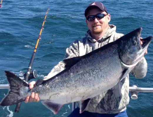 Big king salmon caught in Ft. Bragg with Anchor Charter Boats