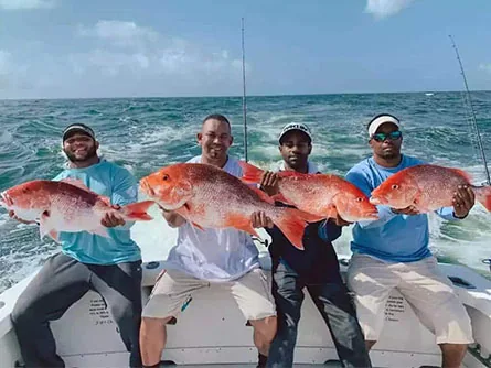 Wahoo Fishing in the Gulf of Mexico - Travelfish
