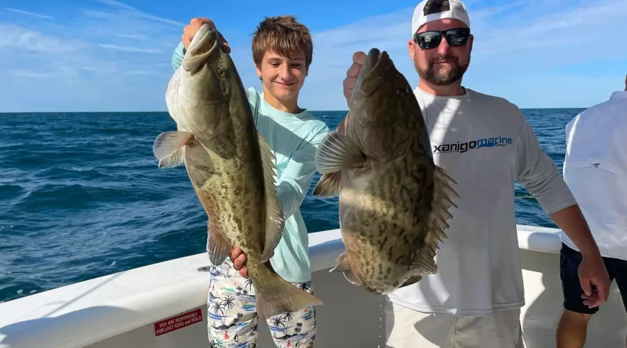 Clearwater Beach Grouper Fishing with Gulfstream Charters