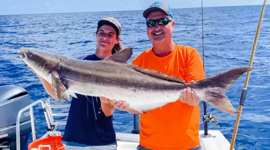 Cobia Fishing in Freeport with Captain Leaf Potter