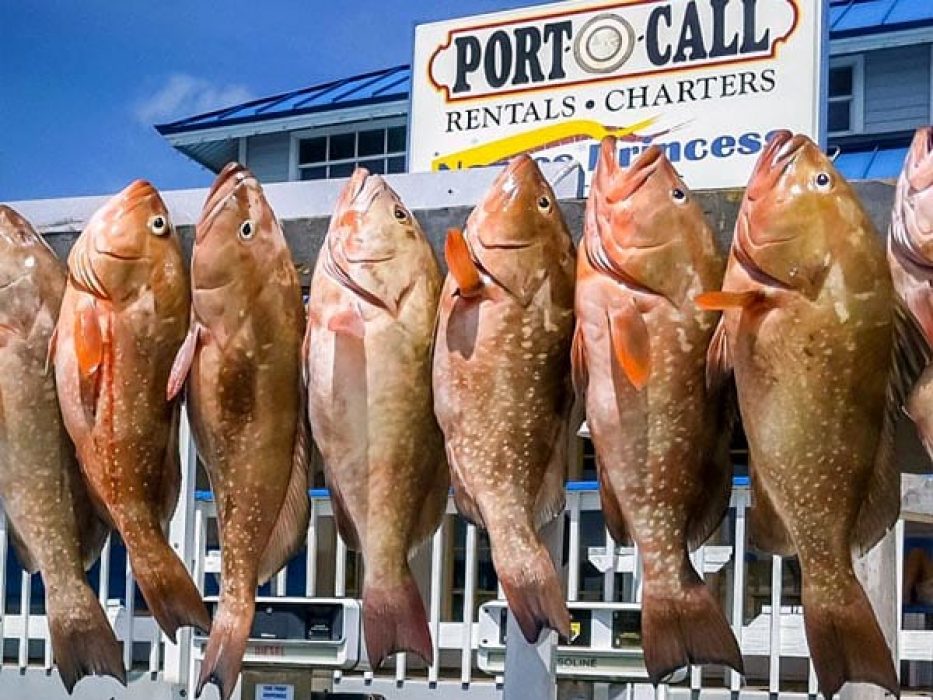 andbcharters2