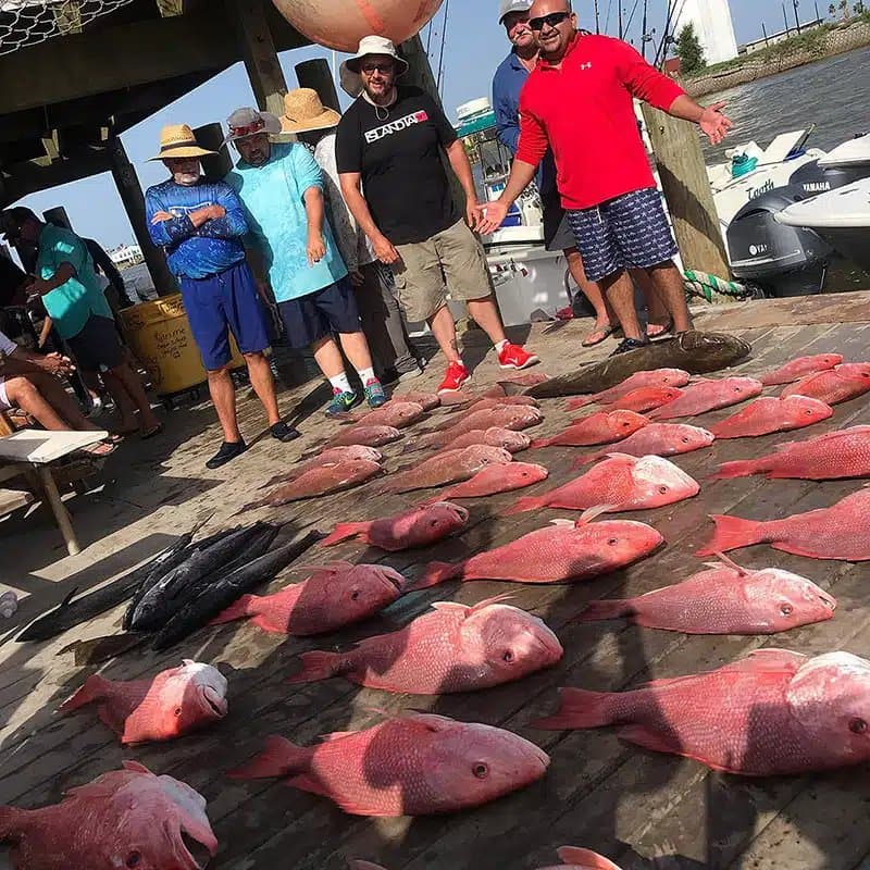 A Beginner's Guide to Red Snapper Fishing in the Gulf of Mexico - Travelfish