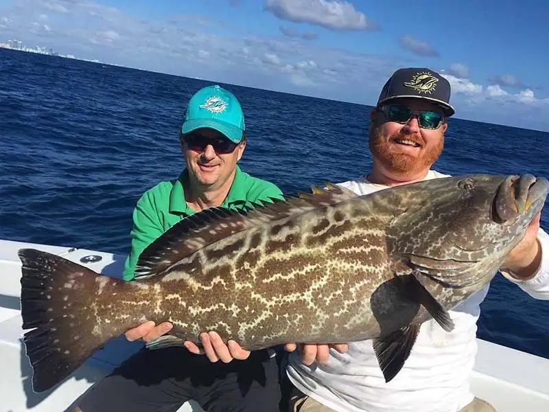 Grouper Fishing in the Florida Keys A Guide to the Best Catch Travelfish