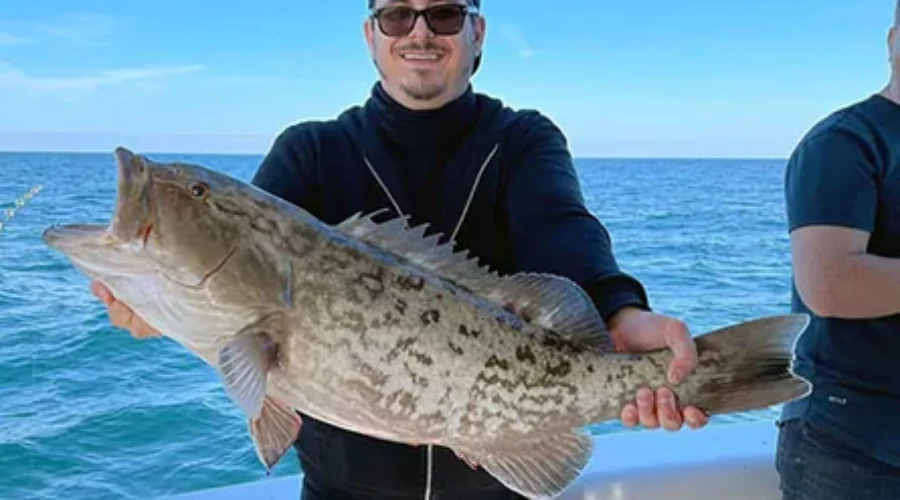 Where Can You Find the Best Grouper Fishing in Florida?