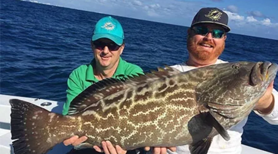 Grouper Fishing in the Florida Keys: A Guide to the Best Catch