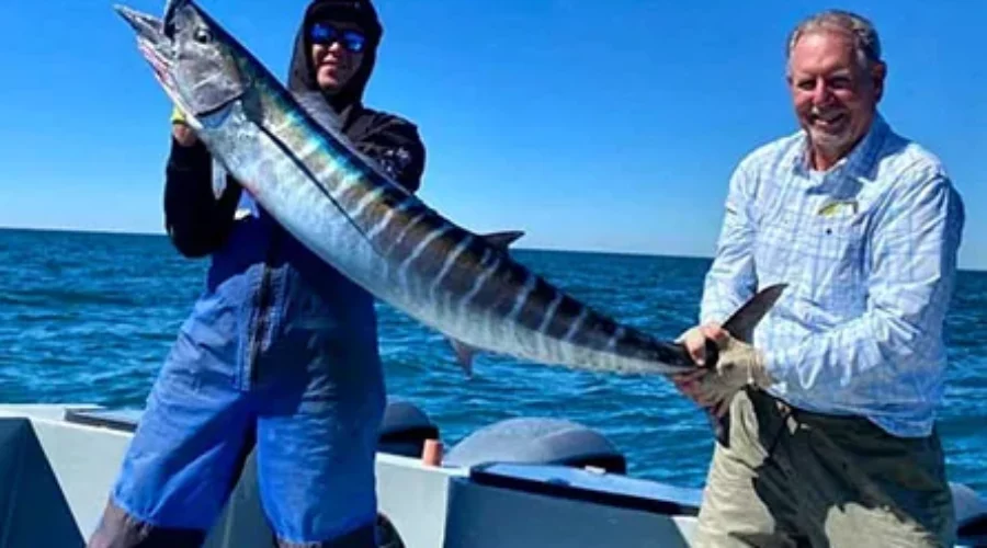 Wahoo Fishing in the Gulf of Mexico - Home