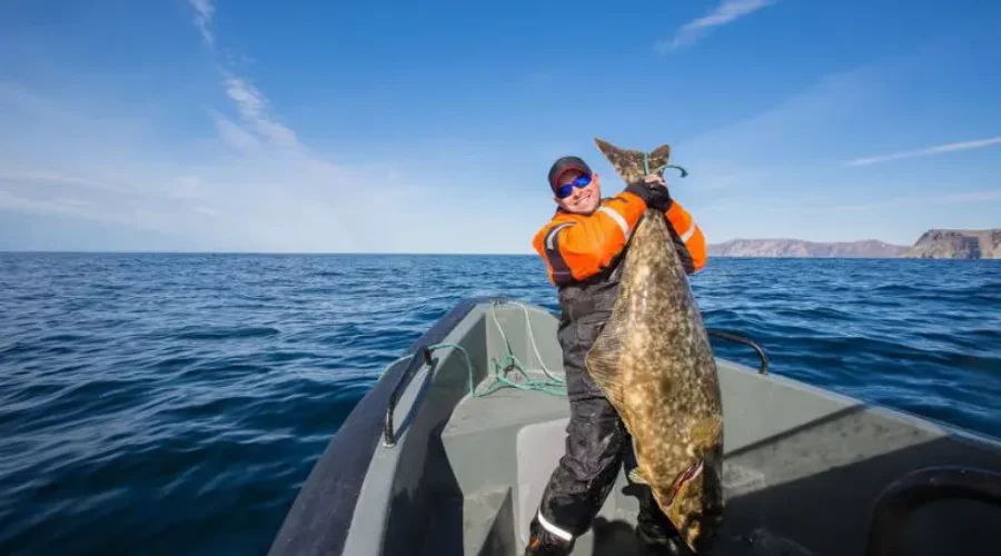 Homer Fishing: Explore the “Halibut Capital of the World”