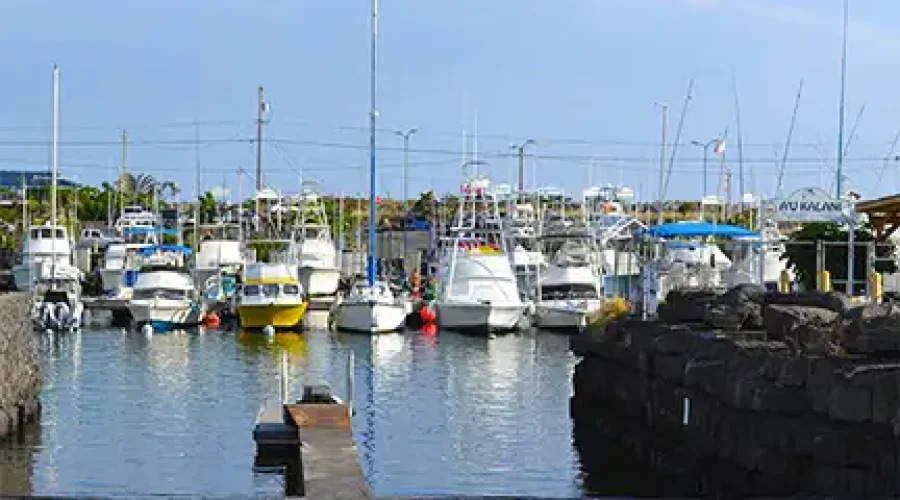 Activities Review: Honokohau Harbor & Gentry’s Kona Marina