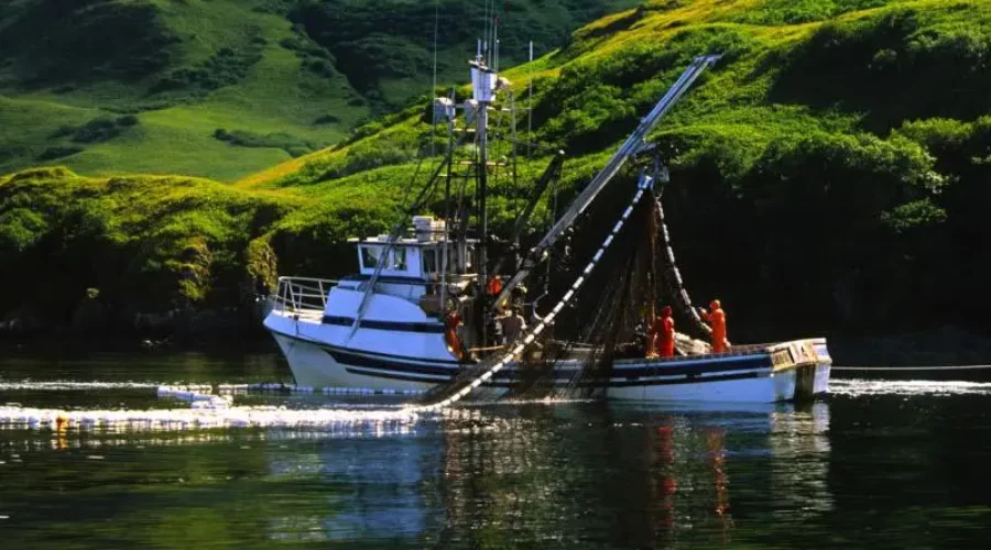 Epic Halibut & Salmon Fishing on Kodiak Island