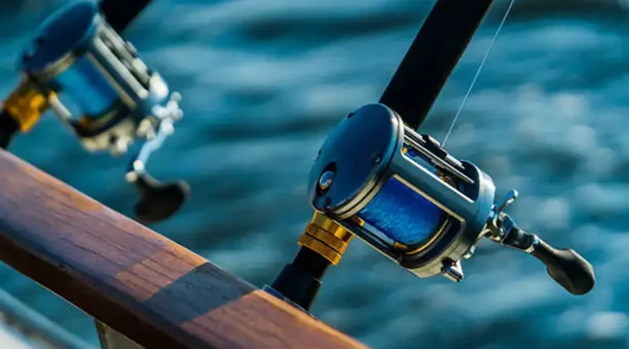 Top 3 Fishing Destinations in Maryland
