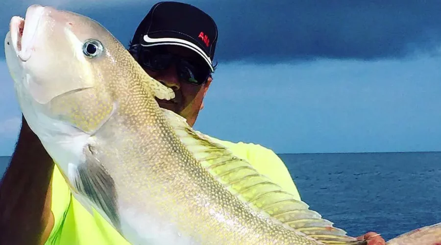 Miami Golden Tilefish Fishing