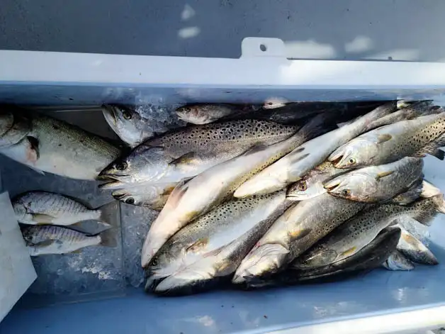 outer-banks-fishing-charters-2