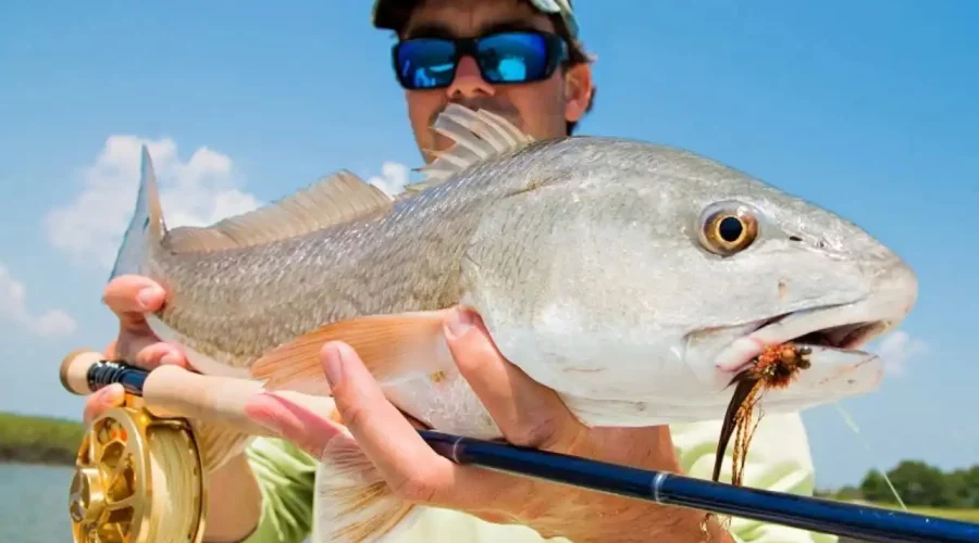 The Best Ways To Catch Redfish In Mosquito Lagoon