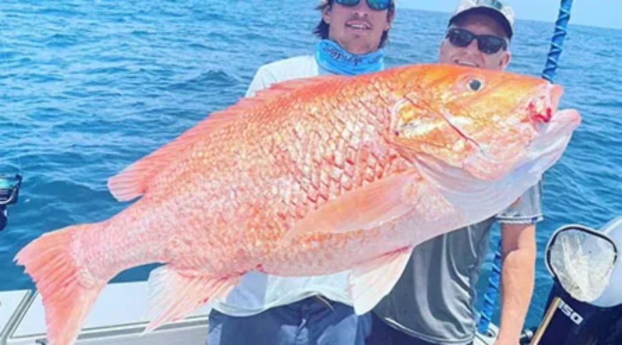 Red Snapper Fishing off the Mississippi Gulf Coast 