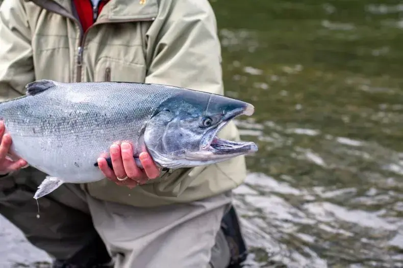 Discover Sitka Fishing: A Paradise for Salmon and Halibut Enthusiasts