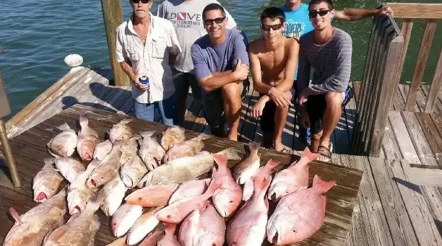 A Quick Guide to Charter Fishing in Tampa