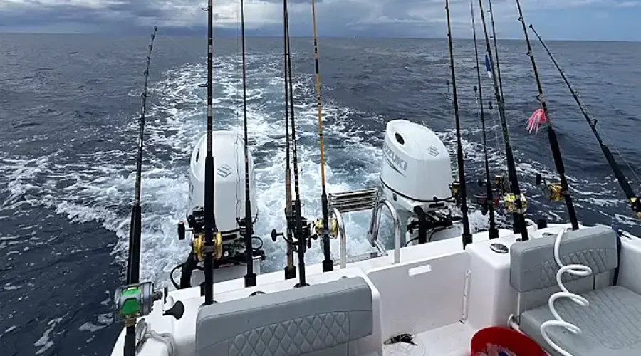 Chasing the Fastest Fish in Savannah, Georgia